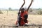 Portrait of massai old men