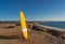 Portrait of mature senior Surfer looking at the ocean with vintage surfboard on an empty beach