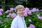 Portrait of the mature woman against the background of the blossoming hydrangea