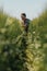 Portrait of middle-aged farm worker squatting in unripe green barley field and examining development of cereal plant ear wearing