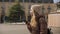 Portrait of millennial young woman girl is walking across the square in the old European city of the pier and she is