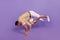 Portrait of modern dancer guy dance hip hop cool move stay hands on purple background