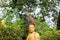 Portrait of monkey sitting on head statue of monk