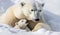 Portrait of mother polar bear with her cute cub