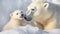 Portrait of mother polar bear with her cute cub
