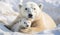 Portrait of mother polar bear with her cute cub