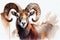 Portrait of a mouflon. Wild animal with large curled horns. Watercolor drawing on a white background.