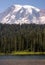Portrait of Mount Rainier over the tree line.