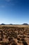 Portrait - Mountains with blue sky and yellow fields - Cradock