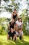 Portrait Of Multiethnic Business People Making Human Pyramid On