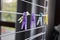 A portrait of multiple washingpins hanging on a laundry rack. The pens or clamps are used to hang wet clothing to dry on a line or