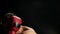 Portrait of muscular kickboxer, black background.