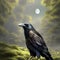 Portrait Mystical Dire Bird raven, Symbol of Gothic, Halloween, fear, by black