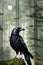 Portrait Mystical Dire Bird raven, Symbol of Gothic, Halloween, fear, by black