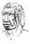Portrait of Neanderthal man