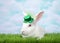 Portrait of one white albino bunny rabbit wearing St Patrick`s Day hat