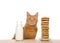 Portrait of an orange tabby cat with chocolate chip cookies stacked high and bottle of milk