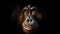 Portrait Of Orangutan Animal Minimalist Eternal Melancholy. Generative AI