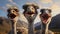 Portrait of ostriches on a farm. Generative AI,