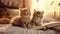 portrait of a pair of curious kittens, cozy home setting