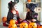 Portrait pair of little girls in Halloween and carnival costume  on white background