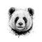 Portrait of a Panda bear from a splash of watercolor