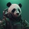 Portrait of a panda dressed in a tactical military outfit on a clean background. Wildlife Animals. Illustration, Generative AI