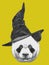 Portrait of Panda with witch hat.