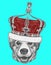 Portrait of Pembroke Welsh Corgi with crown. Hand-drawn illustration.