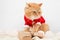 Portrait of a pensive red-haired cat dressed as santa claus and three craft gifts .