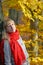 Portrait of the pensive young woman with a red scarf against the background of an autumn tree