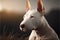 Portrait photo of an adorable Bull Terrier dog. Bull Terrier closeup view. generative AI
