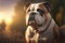 Portrait photo of an adorable BullDog dog. BullDog closeup view. generative AI