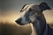 Portrait photo of an adorable Greyhound dog. Greyhound closeup view. generative AI