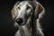 Portrait photo of an adorable Russinan Wolfhound (Borzoi) dog. generative AI