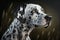 Portrait photo of an Dalmatian dog.Field around. A beautiful dog photo for advertises, Generative AI