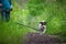 A portrait photo of a jack russell terrier in the woods, full profile. Photo with blurred background and blurred light.