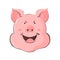 Portrait of a pig. Piglet head with emotion cunning. Cute piggy sly