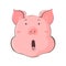 Portrait of a pig. Piglet head with emotion. Cute piggy wonder surprise