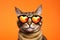 Portrait Pixiebob Cat With Heart Shaped Sunglasses Orange Background