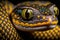 Portrait of a poisonous snake on a black background, close-up shot, generative ai