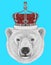 Portrait of Polar Bear with crown.