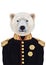 Portrait of Polar Bear in military uniform.