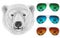 Portrait of Polar Bear with mirror sunglasses.