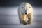 Portrait of a polar bear in natural habitat, generative ai