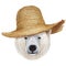 Portrait of Polar Bear with straw hat.