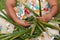 Portrait of Polynesian Pacific Island Tahitian mature woman Aitutaki Lagoon Cook Islands