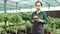 Portrait of pretty lady in apron using tablet in greenhouse touching screen counting plants smiling working alone