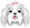 Portrait of a pretty Shih Tzu with pink bow