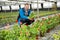 Portrait of professional gardener enjoying his favourite pastime of flowers cultivation in glasshouse